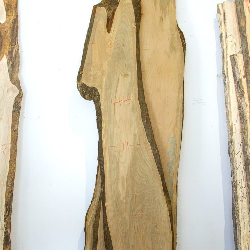 Photo of Maple Slab - 89872 available at MW Slab Shop