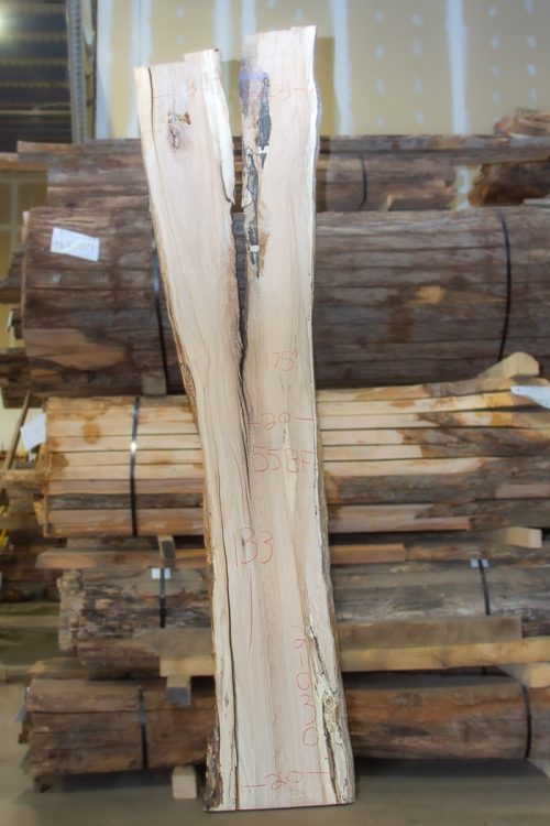 Photo of Maple Slab - 21030 available in the MW Slab Shop