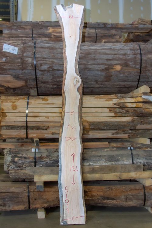 Photo of Maple Slab 51079 available for sale in the Slab Shop