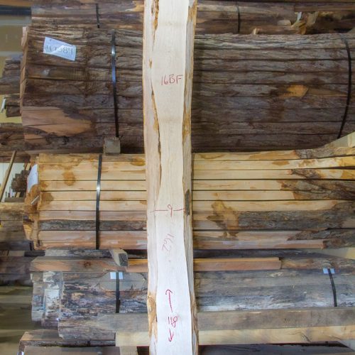Photo of Maple Slab - 51083 available for sale in Slab Shop