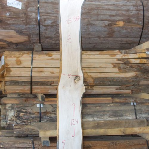 Photo of Maple Slab - 51086 available for purchase in Slab Shop