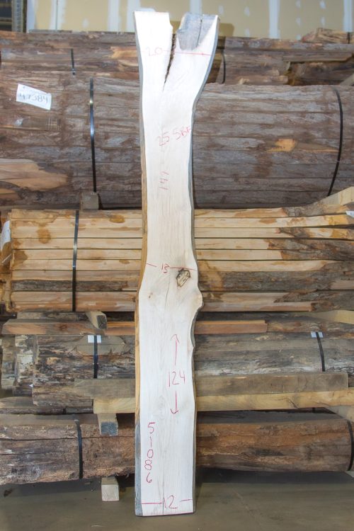 Photo of Maple Slab - 51086 available for purchase in Slab Shop