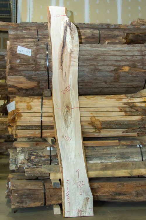 Photo of Maple Slab - 51087 available for purchase at MW Wood Shop