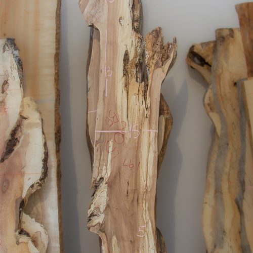 Photo of Spalted Maple Slab - 51171 available at MW Slab Shop