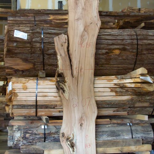 Photo of Spalted Maple Slab - 51177 available at MW Slab Shop