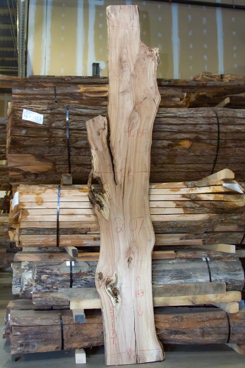 Photo of Spalted Maple Slab - 51177 available at MW Slab Shop