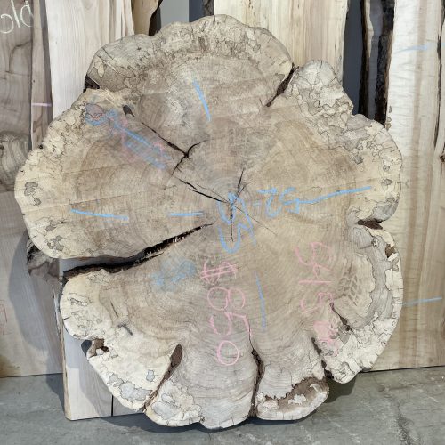 Large Spalted Maple Cookie